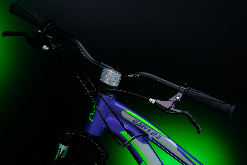 LORAK GLORY 9 Матовый Фиолетовый рама 17 (на рост 155-173)