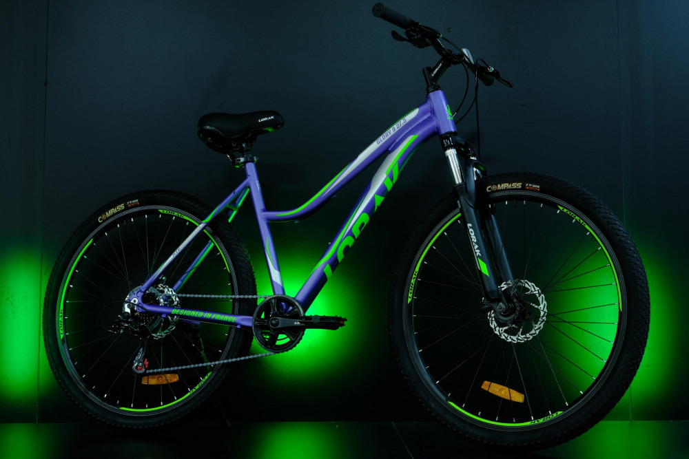 LORAK GLORY 9 Матовый Фиолетовый рама 15 (на рост 141-160)