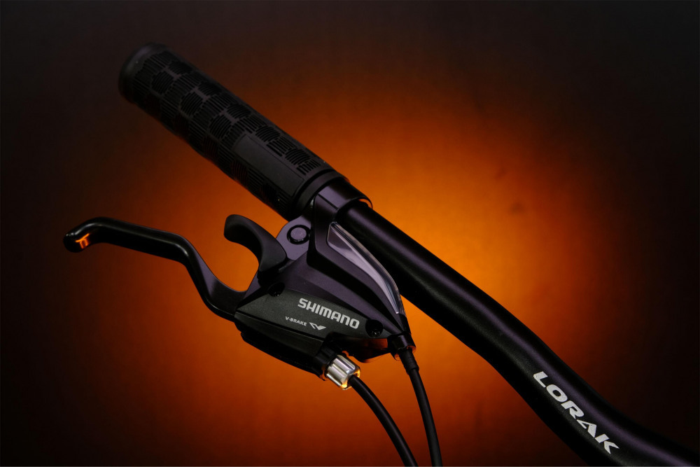 LORAK Fast Brown 29 Матовый Чёрный рама 21 (на рост 183-190)