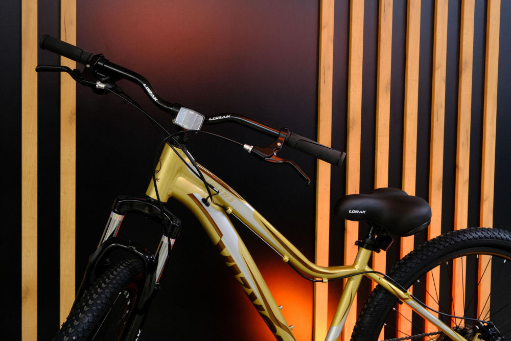 LORAK GLORY 9 Золотисто Серый рама 19 (на рост 171-182)